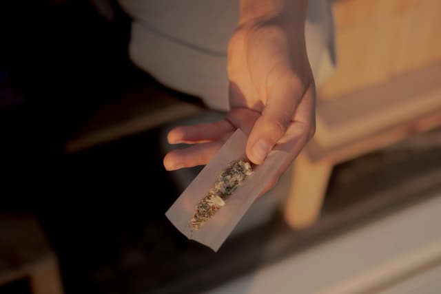 Hands holding rolled paper with green leaves
